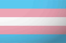 Transgender Flag